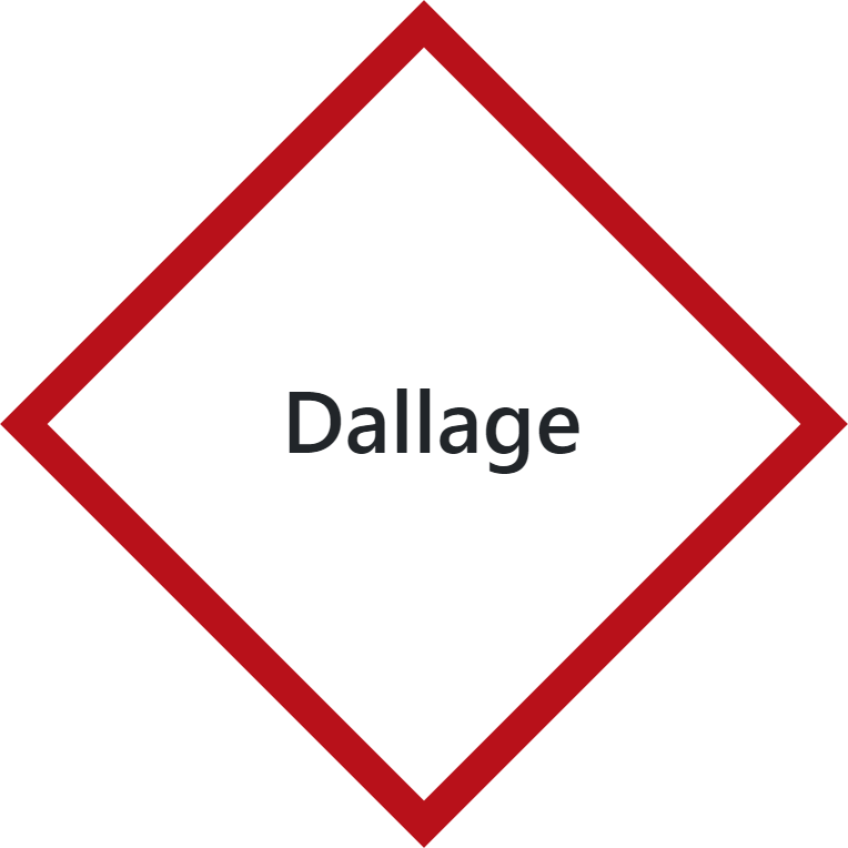 Logo_Dallage